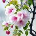 Lynn Bagwell - Facebook