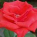 Lynn Barbour - Facebook