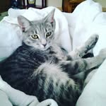 abby lynn Barfield - @barfield2111980 - Instagram