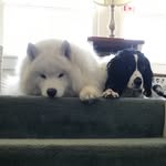Lynn Barfield - @lynnschroederbarfield - Instagram