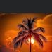 Lynne Barfield - Facebook