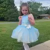 Lynne Taylor Barringer - @lynnetaylorbarrin - TikTok