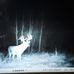 Lynn Barron - Facebook