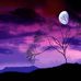 Lynne Barron - Facebook