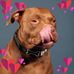 Lynn Bartzen - Facebook