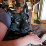 Vicki Lynn Bartz - @vicki.dieringer - Instagram