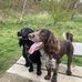 Lynn Batey - Facebook