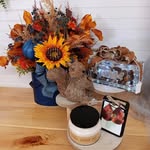 Lynn Baxter - @t.l.c.nutrition - Instagram