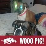 Lynn Baxter - @baxter8157 - Instagram