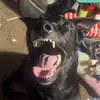Sd_baylynnbackup - @baylynnsbackupacc - TikTok