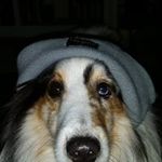Harry Lynn Beam - @tahacadwaaceadag3406 - Instagram