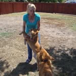 Lynda Kruso - @lynnbear.54 - Instagram