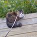 Lynn Bear - Facebook