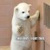 Lynn Bear - Facebook