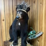 Lynn Bear - @lfbear1 - Instagram