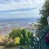 Lynn_bear - @clynn_bear - TikTok