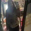 Lynn - @lynnbear00 - TikTok