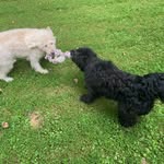 Lynn beaver - @lynnb_76 - Instagram