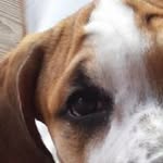 Lynn Goff-Beaver - @goffbeaver - Instagram