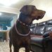 Lynn Beddingfield - Facebook