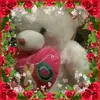 Lynn Beddingfield - @lynn.beddingfield4 - TikTok