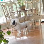 Lynn Beddingfield - @lynn.beddingfield - Instagram