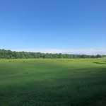 Lynn Beddingfield - @beddingfield_lynn - Instagram