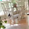 Lynn Beddingfield - @lynn.beddingfield - TikTok