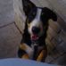 Lynn Bee - Facebook