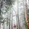 LynnBeebe8749 - @lynnbeebe8749 - TikTok