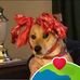 Lynn Beemer - Facebook