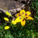 Lynn Nims Beer - @lynn_beer - Instagram