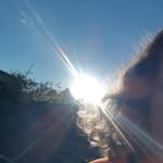lynnbeerens - @lynnbeerens3 - Instagram