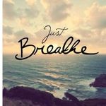 Lynn Belanger Gannon - @lynnbelangergannon - Instagram