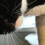Lynn Bence - @norakitty310 - Instagram