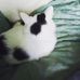 Lynn Bennett - Facebook