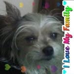 Lynn Bennett - @lynn.bennett.3139 - Instagram