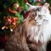 Lynn Bennett - Facebook
