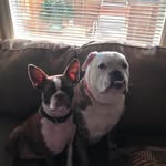 Lynn Bennett Alexander - @lynnbennettalexander - Instagram