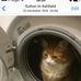 Lynne Benton - Facebook