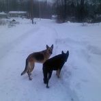 Lynn Bergeron - Facebook