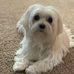 Lynn Dvorak Beveridge - Facebook