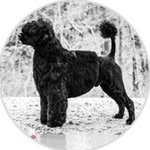 Lynn Bickoff Green - @lynnbickoff - Instagram