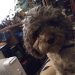 Lynn Biggs - @lynnbiggs57 - Instagram