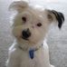 Lynn Biggs - Facebook