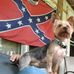Lynn Biggs - Facebook