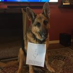 Lynn Billings - @lynn.gooberdog - Instagram