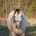 Lynn Billings - Facebook