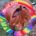 Blanca L. Ramirez - Facebook