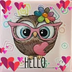 Lynn Blaha - @linzee_02us - Instagram